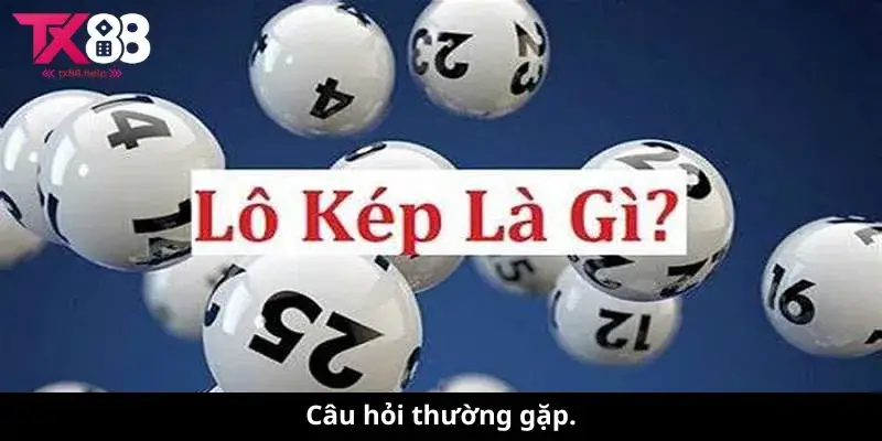 Câu hỏi thường gặp.