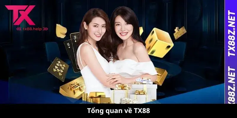 Tổng quan về TX88