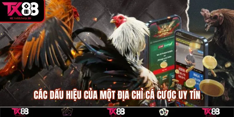 Các dấu hiệu của một địa chỉ cá cược uy tín