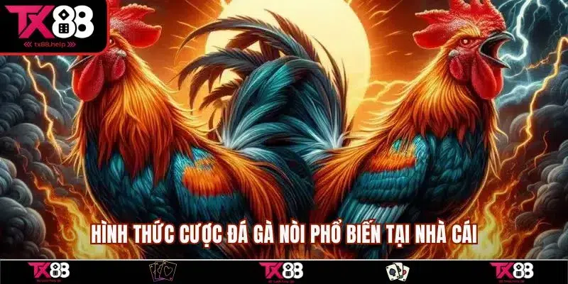 Hình thức cược đá gà nòi phổ biến tại nhà cái