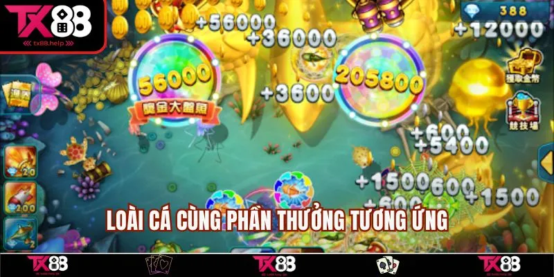 Loài cá cùng phần thưởng tương ứng